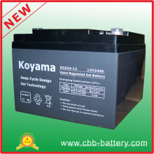 12V 24ah Deep Cycle Gel Battery for UPS/Surge Protector